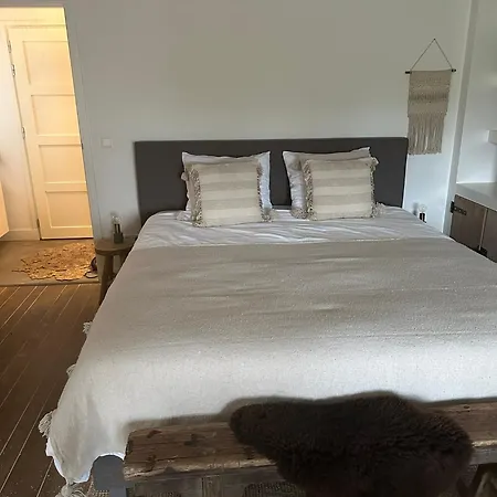 B&B No. 42-2