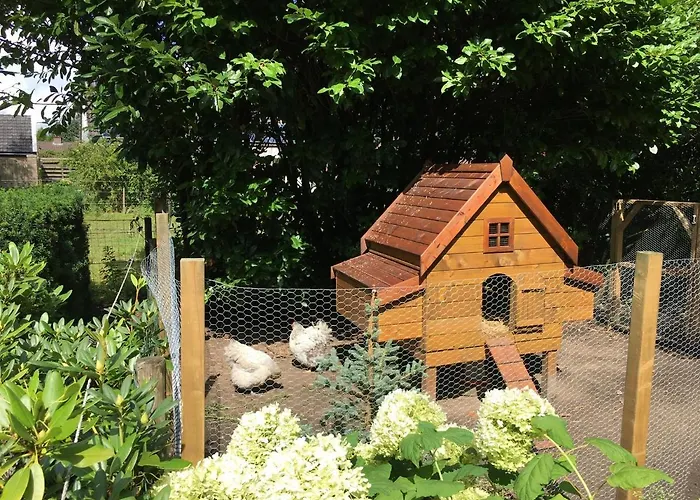 B&B De Drentse Es Emmen