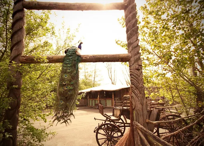 Bamboo Lodge Groningen