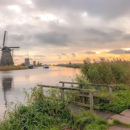 Zuid-Holland